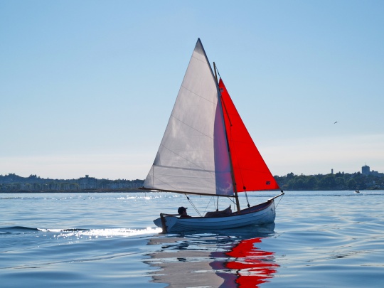Whitehall Rowing & Sail Photo 1