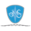 DMS HOLLAND - logo