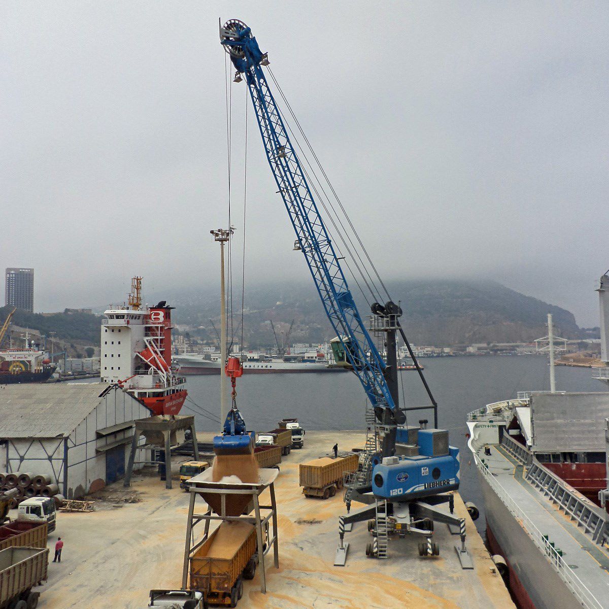 Портовый подъемный кран - LHM Series - Liebherr-International ...