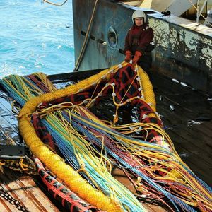 сетка для рыбной ловли