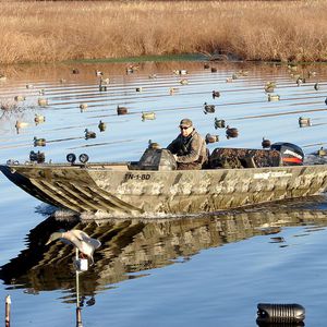 плоскодонка c подвесным мотором