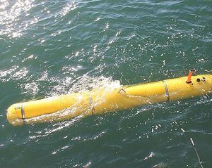 AUV 1
