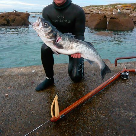 Арбалет для подводной охоты из тикового дерева - X - Teak Sea