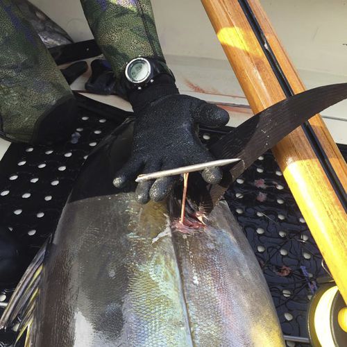 Кукан - Slip Tip - Ulusub Spearfishing Co.