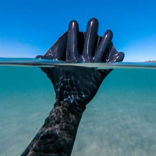 Перчатки для дайвинга - DARKFIN DURAFIN - Black Lagoon Products - для водных видов спорта / интегральная