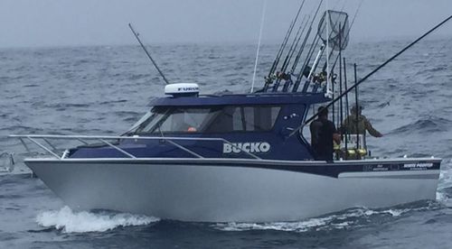 Профессиональный катер профессиональное рыболовное судно - 870  - White Pointer Boats Ltd - с внутренним мотором