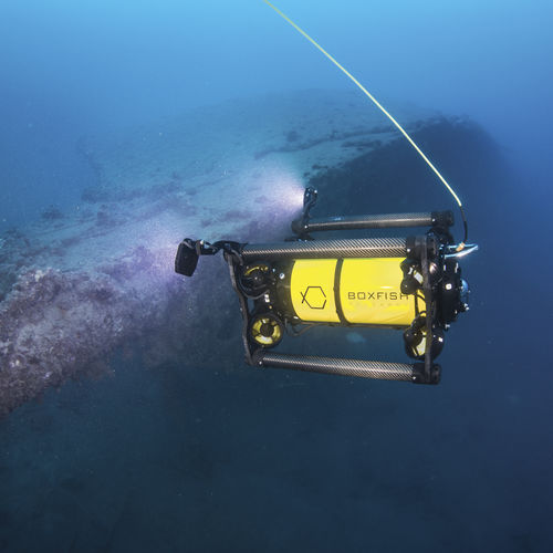 ТНПА для рабочих операций - ROV - Boxfish Research - для наблюдения / для аквакультуры / для фотограмметрии