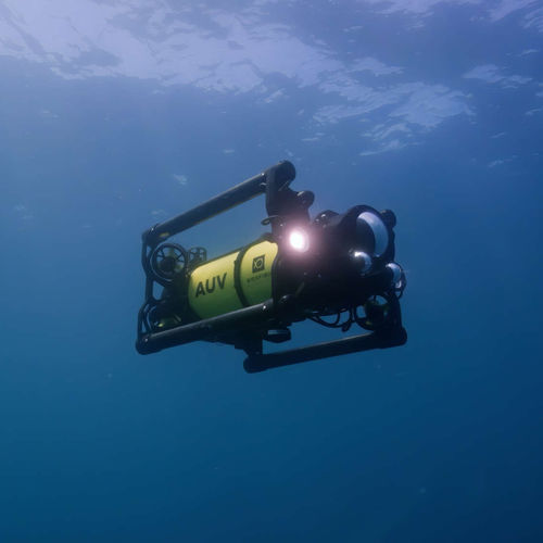 ТНПА для наблюдения - Boxfish  - Boxfish Research
