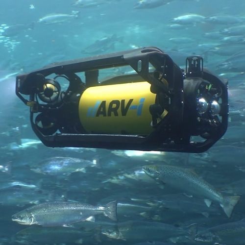 ТНПА для наблюдения - ARV-i - Boxfish Research