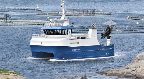 Профессиональный катер судно для аквакультуры - NabCat 1499/1200 MD - Moen Marin AS - катамаран / с внутренним мотором