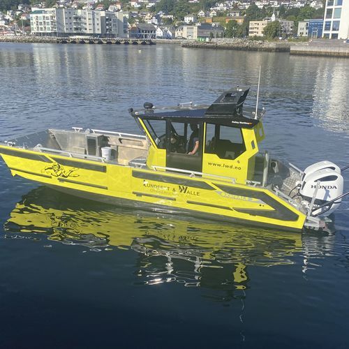 Профессиональный катер катер для дайвинга - OXpro AL8 dive - Hatløy Maritime AS - c подвесным мотором / из алюминия