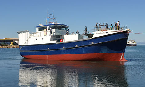 Профессиональный катер траулер - STORMGANS - Sachal Shipyard