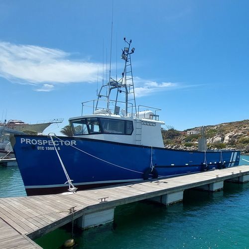 Профессиональный катер траулер - Tuna Pole - Sachal Shipyard - судно для ловли тунца и сельди / из стеклопластика