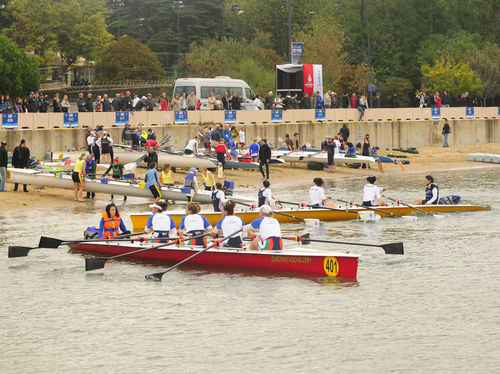 Гребная лодка для досуга - Y 35 club  - Rowing Sport  boats - парная четверка / с рулевым