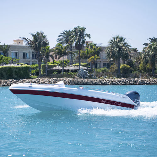 Открытый катер c подвесным мотором - FLASH - DOLPHIN SPEED BOATS - с боковой консолью / спортивный