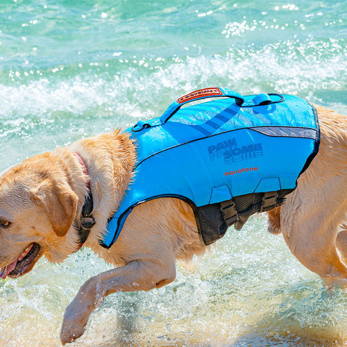 Спасательный жилет для водных видов спорта - PAWSOME - Aquatone - для домашних животных / из губки / синий