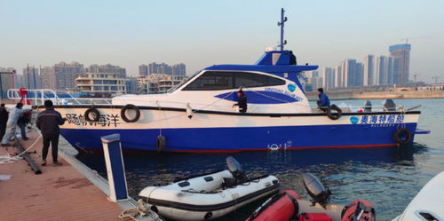 Моторная яхта для рыбной ловли - PELAGIC 1700 - Qingdao Allheart Marine Co., Ltd. - с рулевой рубкой