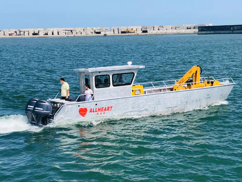 Профессиональный катер десантный катер - 1000 - Qingdao Allheart Marine Co., Ltd. - c подвесным мотором / из алюминия