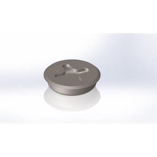 Место крепления для ролкеров (Ro-Ro) - LP-81-B(258) - International Lashing Systems - неподвижный