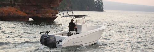 Открытый катер c подвесным мотором - 2605 CC - Striper Boats - двухмоторный / для спортивной рыбалки / макс. 8 человек