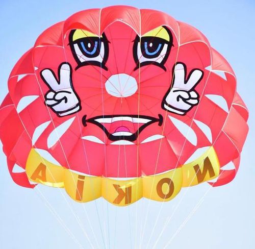 Водный парашют по индивидуальному заказу - RP39 FT JUPITER - Risus Parasails - для сильного ветра / для запуска с катера / для запуска с пляжа