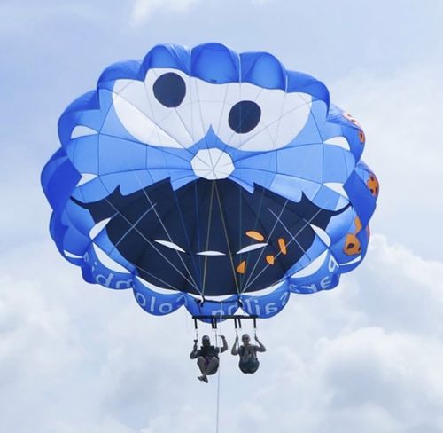 Водный парашют по индивидуальному заказу - RP27 FT Orbit - Risus Parasails - для сильного ветра / для запуска с катера / для запуска с пляжа