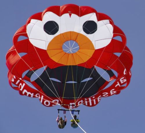 Водный парашют по индивидуальному заказу - RP28 FT NEPTUN - Risus Parasails - для сильного ветра / для запуска с катера / для запуска с пляжа