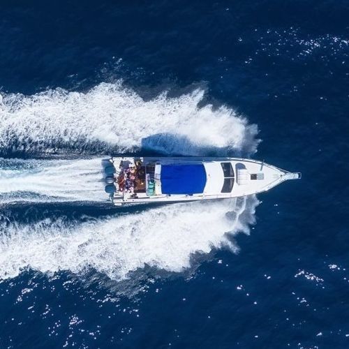 Быстроходный катер с внутренним мотором - Q6 - Vi Yachts - двухмоторный / с флайбриджем / макс. 14 человек