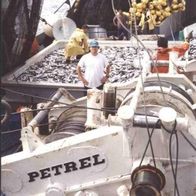 Лебедка для судна - PW-125-LSDA-SF3+3(B45) - Petrel International - для поворотного невода / с гидравлическим приводом / каскадная