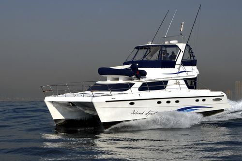 Быстроходный катер катамаран - POWERCAT 450 - African Cats - с внутренним мотором / с флайбриджем / для спортивной рыбалки