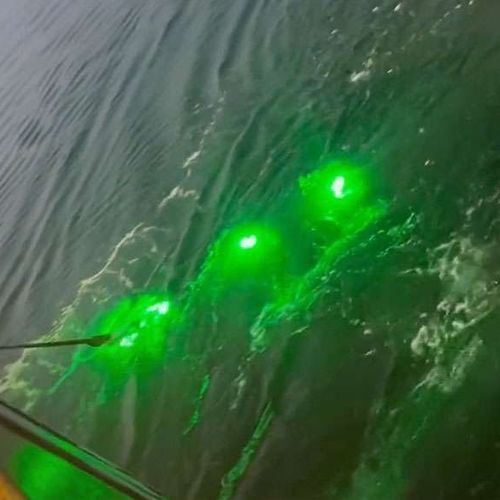 Подводное освещение для профессиональной рыбной ловли - Pisces - SafetyNet Technologies - LED