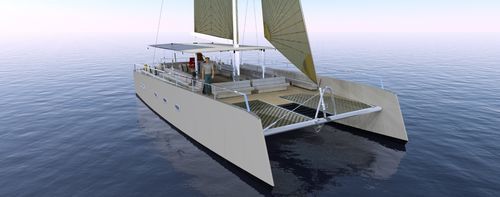 Катамаран - NAVIS 50 - NAVIS LR - для навигации в прибрежных водах / дэйсэйлер / 2 каюты