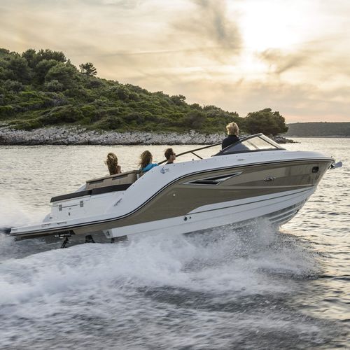 Небольшой катер с поворотно-откидной колонкой - SUN SPORT 250 - Sea Ray - с двойной консолью / открытый / для водных лыж