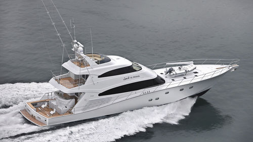 Супер-яхта для спортивной рыбалки - AL DUHAIL - Warwick Yacht Design - с флайбриджем / корпус водоизмещающего типа / из композита