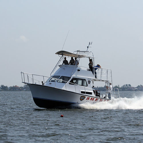 Профессиональный катер спасательно-поисковое судно - 36' - Newton Boats - с внутренним мотором