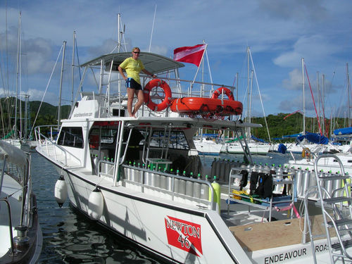 Профессиональный катер катер для дайвинга - 46' Dive Special - Newton Boats - с внутренним мотором
