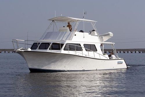 Быстроходный катер с внутренним мотором - 46'  - Newton Boats - с флайбриджем / для спортивной рыбалки