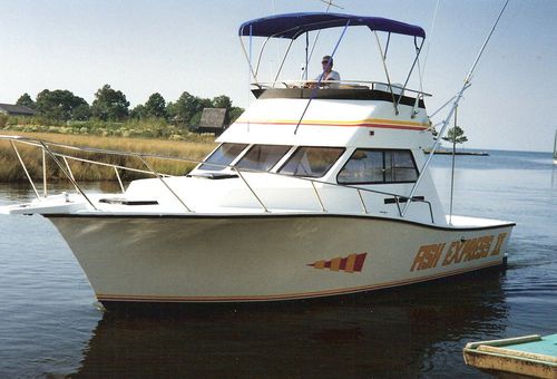 Быстроходный катер с внутренним мотором - 32'  - Newton Boats - двухмоторный / с флайбриджем / для спортивной рыбалки
