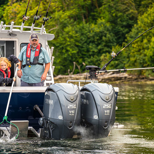 Подвесной двигатель - V6 4.2L F250 - Yamaha Outboard Motors - на бензине / прогулочный / V-образный