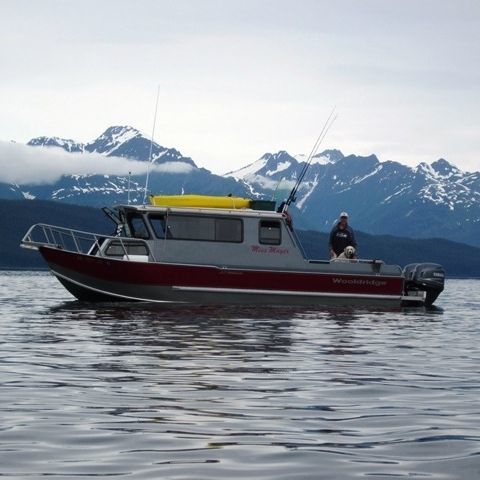 Рыболовно-прогулочный катер c подвесным мотором - 29' SS PILOTHOUSE - Wooldridge - с рулевой рубкой / оффшорный / из алюминия