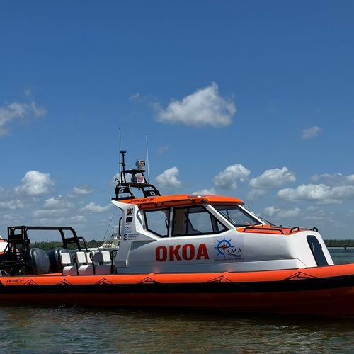 Профессиональный катер спасательное судно - WAVERIDER 1060 GRP - GEMINI MARINE PTY LTD - катер для дайвинга / c подвесным мотором / RIB