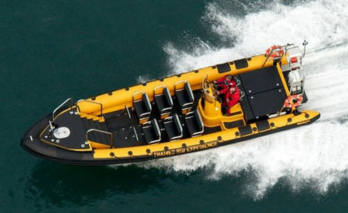 Профессиональный катер пассажирское судно - RIBCRAFT 12.0  - RIBCRAFT - с внутренним мотором / надувная лодка с полужестким корпусом