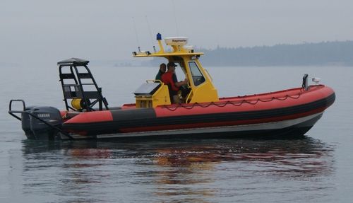 Профессиональный катер спасательное судно - TITAN T249XL - Titan - c подвесным мотором / надувная лодка с полужестким корпусом