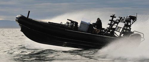 Профессиональный катер катер береговой охраны - TITAN 249XL - Titan - c подвесным мотором / надувная лодка с полужестким корпусом