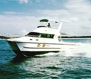 Быстроходный катер катамаран - 3500 - Noosa Cat Australia - c подвесным мотором / двухмоторный / с флайбриджем