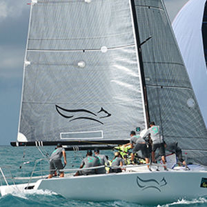 Фок -  FUSION M  - Quantum Sails - для килевого спортивного монотипа / из карбона / Melges 32