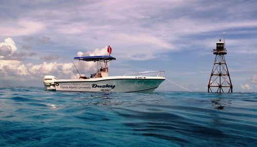 Открытый катер c подвесным мотором - 252  - Dusky Marine - для спортивной рыбалки / Т-образная верхняя часть