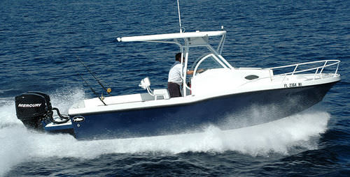 Прогулочный катер c подвесным мотором - 252 CRUISER - Dusky Marine - для спортивной рыбалки / Т-образная верхняя часть