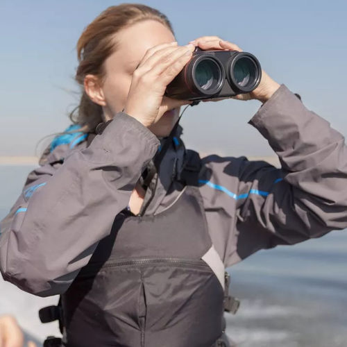 Герметичный бинокль - L IS WP - Canon Binocular - 10 x 42