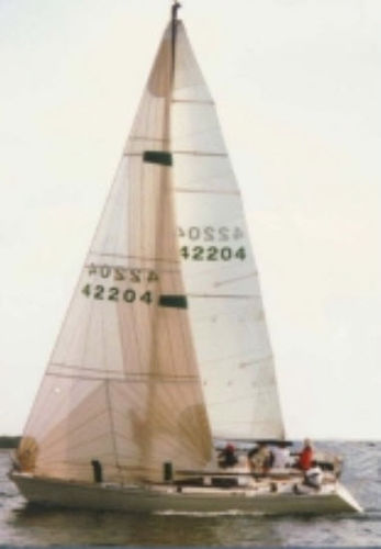 Грот - Neilpryde Sails - передний парус / для яхты, участвующей в регате / с трирадиальным кроем
